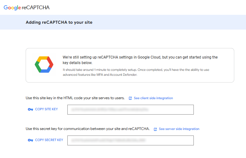reCAPTCHA keys